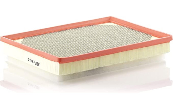 Luftfilter C 36 172 Mann