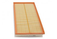 Luftfilter C 36 188/1 MANN-FILTER