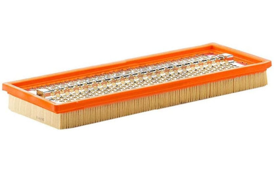 Luftfilter C 3874 MANN-FILTER