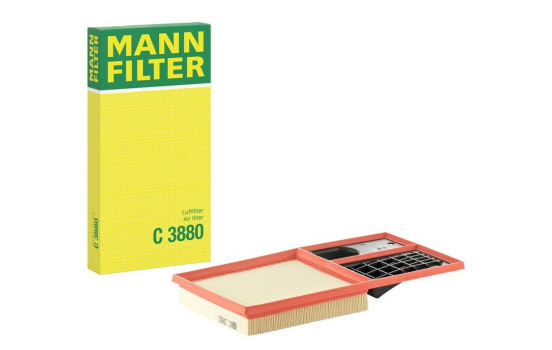 Luftfilter C 3880 Mann, bild 4