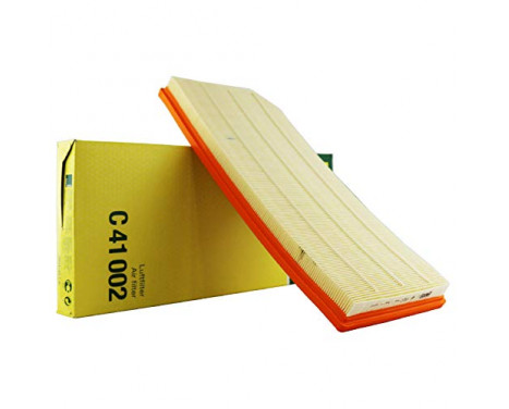 Luftfilter C 41 002 Mann