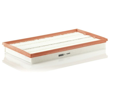 Luftfilter C 4265 Mann, bild 2
