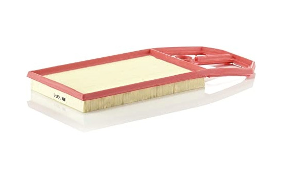 Luftfilter C 4287/2 MANN-FILTER