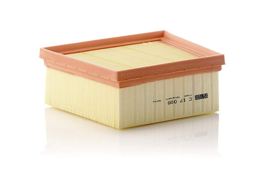 Luftfilter C17006 MANN-FILTER