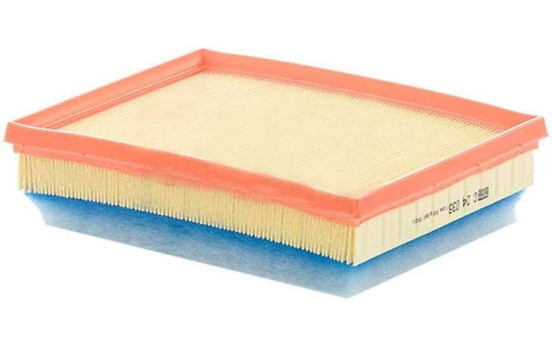 Luftfilter C24036 Mann