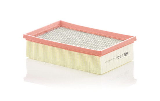 Luftfilter C25021 Mann