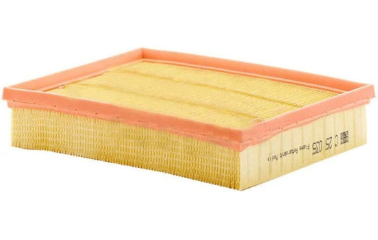 Luftfilter C25035 Mann