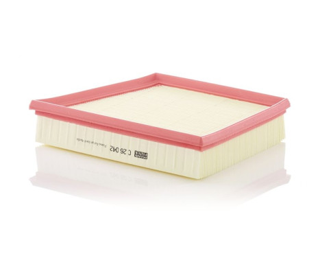 Luftfilter C26042 Mann, bild 2