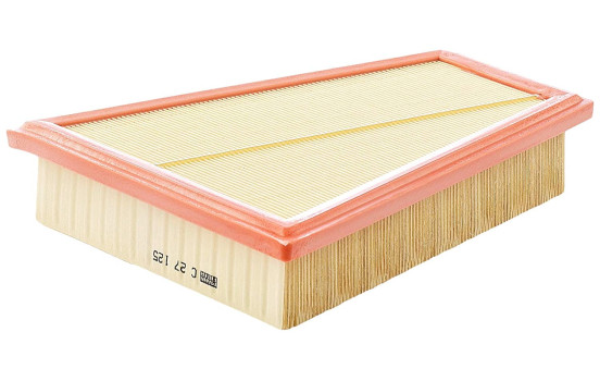 Luftfilter C27125 MANN-FILTER