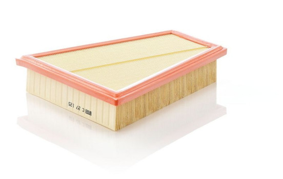 Luftfilter C27125 MANN-FILTER, bild 2
