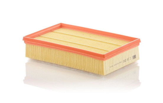 Luftfilter C28050 MANN-FILTER