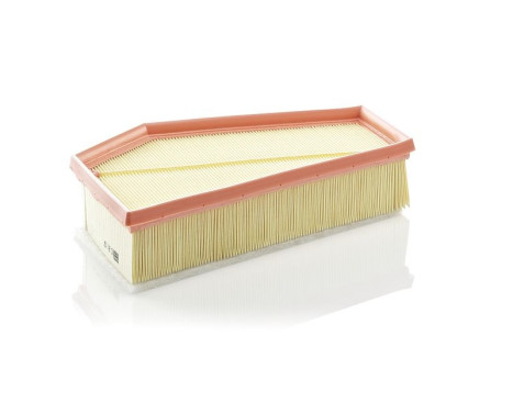 Luftfilter C29150 Mann, bild 2