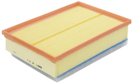 Luftfilter C30011 Mann