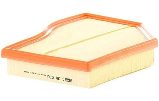 Luftfilter C30030 MANN-FILTER