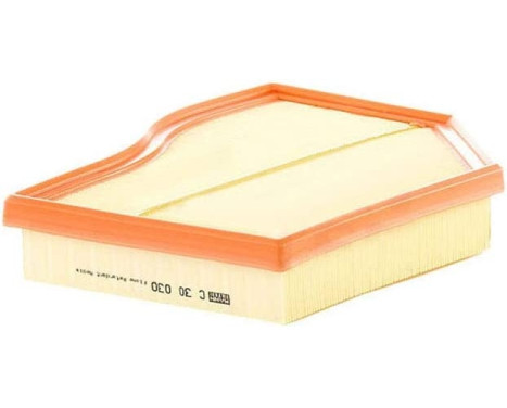 Luftfilter C30030 Mann