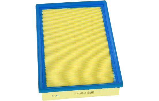Luftfilter C30125/4 MANN-FILTER