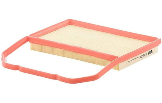 Luftfilter C31031 MANN-FILTER