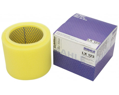 Luftfilter LX 123 Mahle