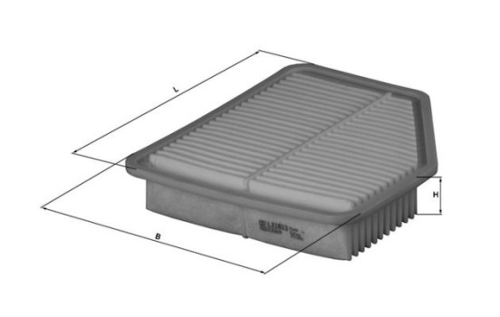 Luftfilter LX 1613 Mahle, bild 3