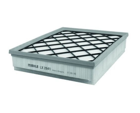 Luftfilter LX 2641 Mahle, bild 4