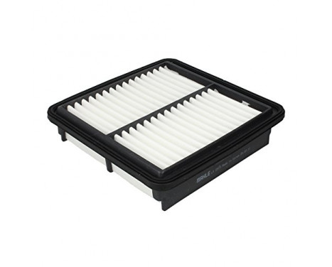 Luftfilter LX 2973 Mahle