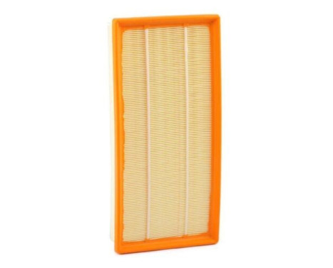 Luftfilter LX 4397 Mahle