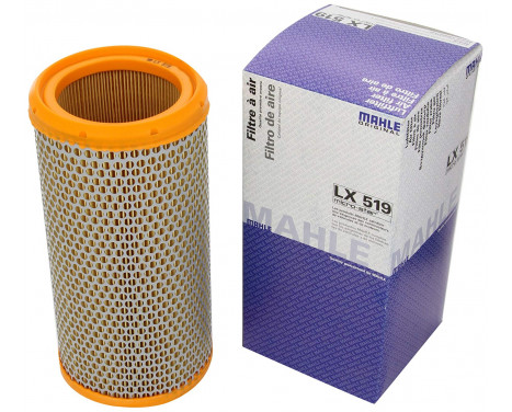 Luftfilter LX 519 Mahle