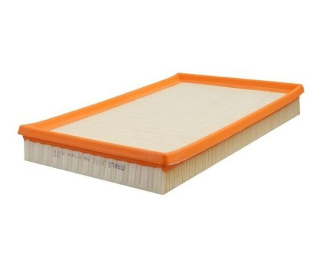 Luftfilter LX 613 Mahle, bild 3