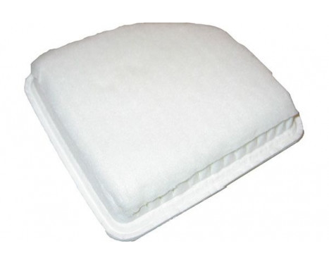 Luftfilter TA-1689 AMC Filter