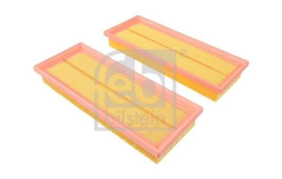 Luftfiltersats 172282 FEBI