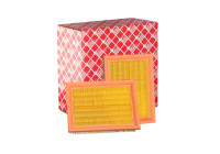 Luftfiltersats 24402 FEBI