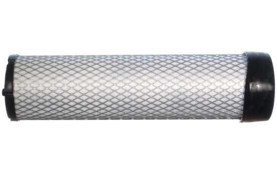 Sekundärluftfilter LXS 256 Mahle, bild 2