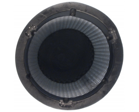 Sekundärluftfilter LXS 256 Mahle, bild 4