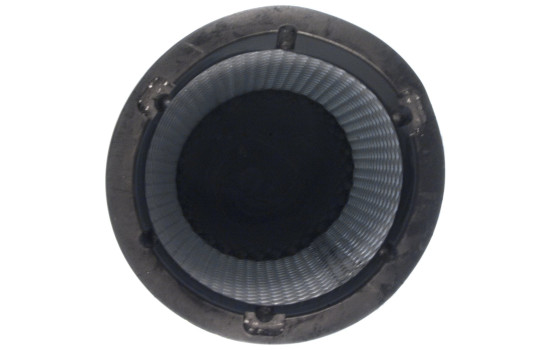 Sekundärluftfilter LXS 256 Mahle, bild 4