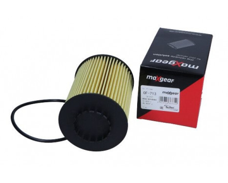 Oljefilter 26-2021 Maxgear, bild 2