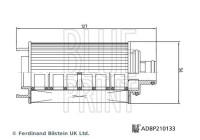 oljefilter ADBP210133 Blue Print