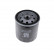 Oljefilter ADJ132113 Blue Print, miniatyr 2
