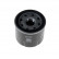 Oljefilter ADN12125 Blue Print, miniatyr 2