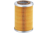 Oljefilter H 816 x Mann