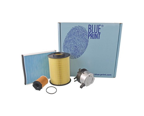 Delsats, serviceinspektion