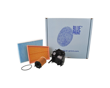 Delsats, serviceinspektion