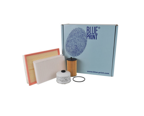 Delsats, serviceinspektion