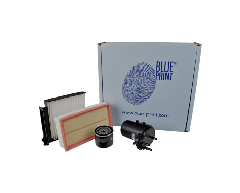 Delsats, serviceinspektion