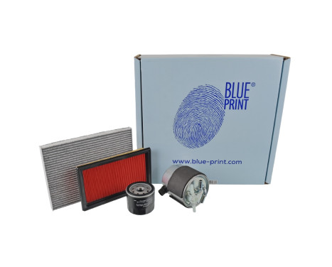 Delsats, serviceinspektion