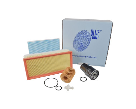 Delsats, serviceinspektion