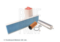 Delsats, serviceinspektion