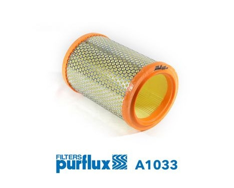 Air Filter A1033 Purflux