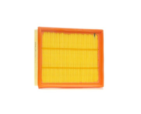 Air Filter A1036 Purflux