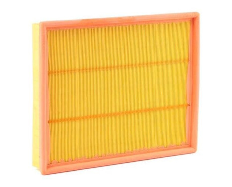 Air Filter A1043 Purflux