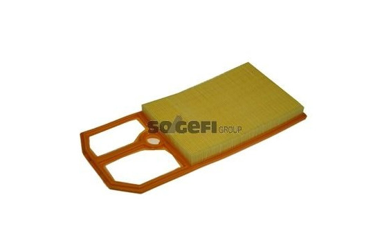 Air Filter A1045 Purflux